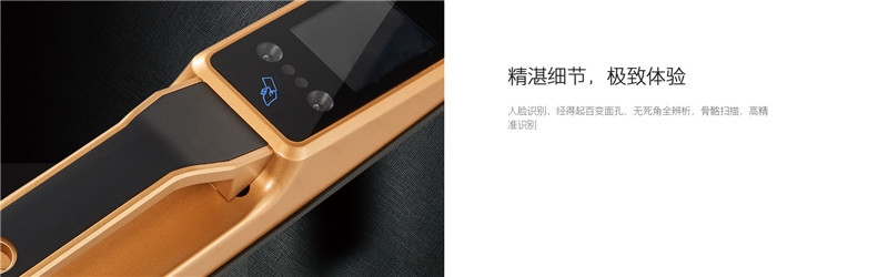 朗凯斯人脸识别智能刷卡锁 家用智能人脸识别锁