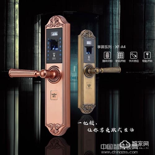 新飞指纹锁密码锁 刷卡锁 超C级防盗锁芯