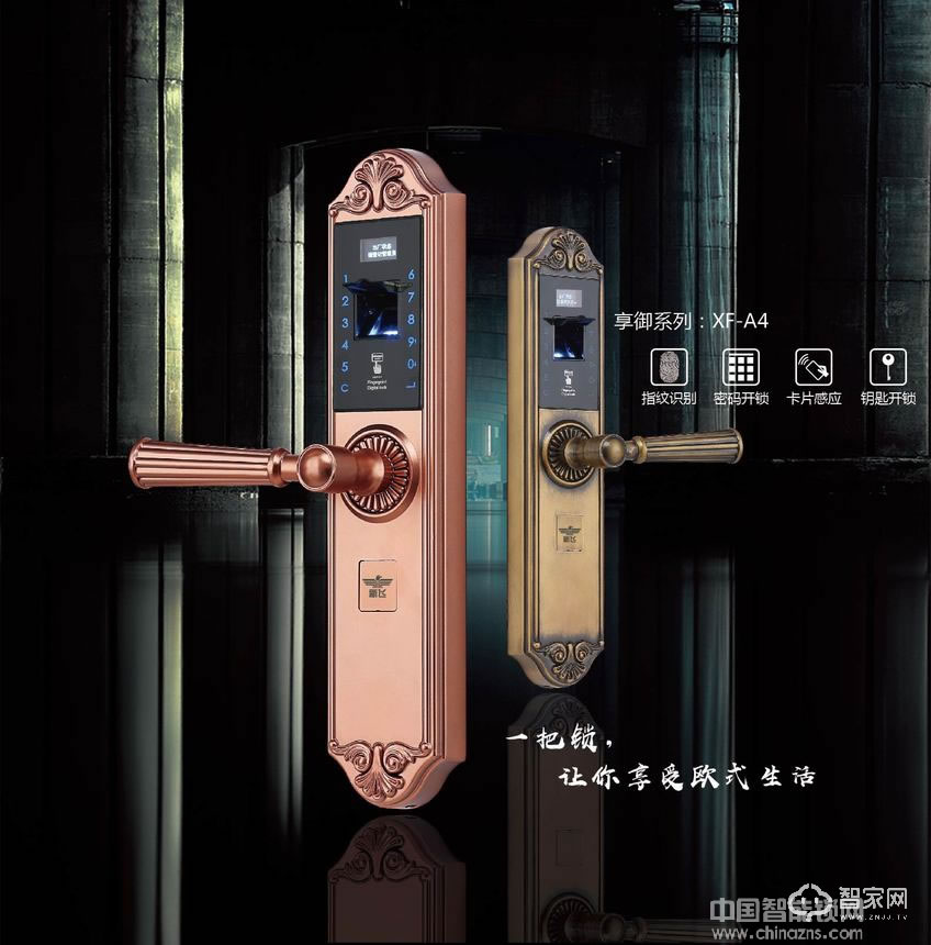新飞指纹锁密码锁 刷卡锁 超C级防盗锁芯