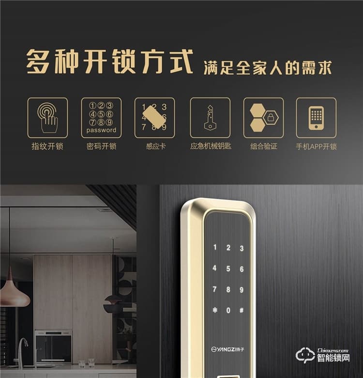 扬子智能锁 S9家用直板半自动智能锁