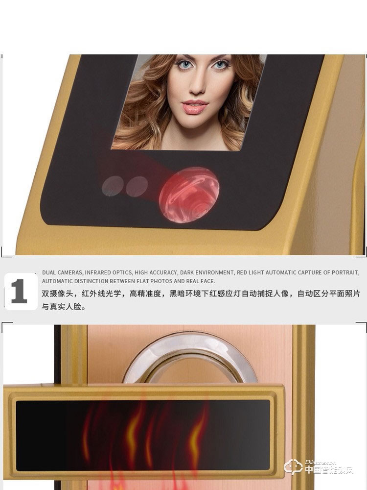 范斯洛克智能锁 古铜色第二代人脸识别锁