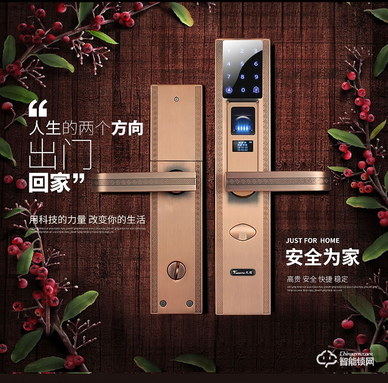 天图智能锁 家用智能电子锁防盗门锁