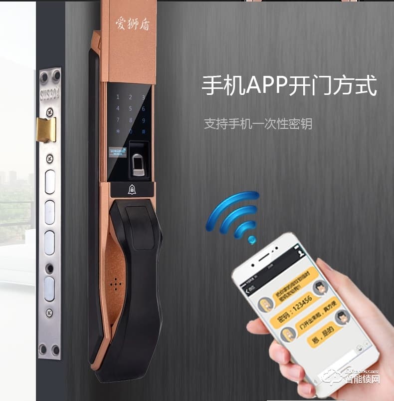 爱狮盾智能锁 ASD-F1家用防盗门玻璃门密码锁