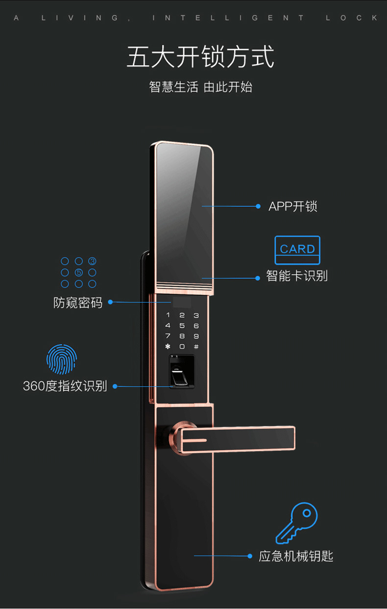 佰德龙智能锁 219家用防盗门指纹锁远程智能锁