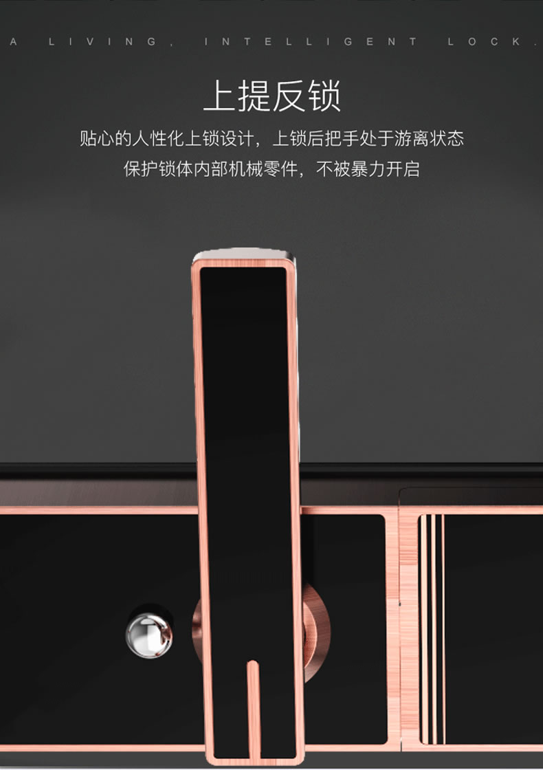 佰德龙智能锁 219家用防盗门指纹锁远程智能锁
