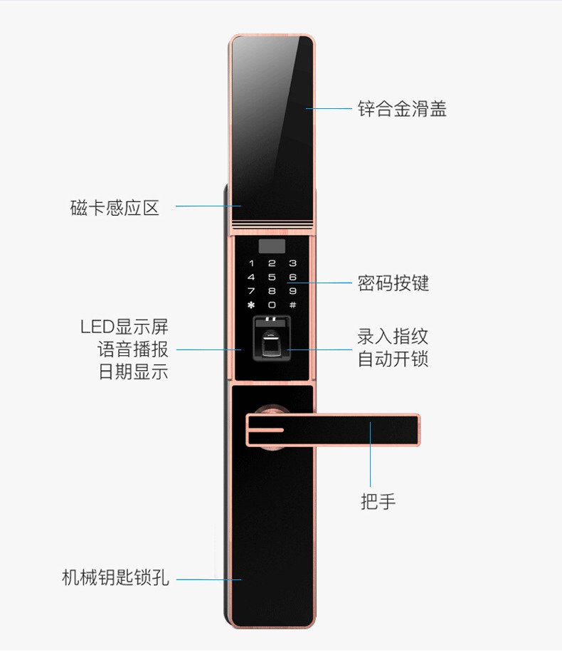 佰德龙智能锁 219家用防盗门指纹锁远程智能锁