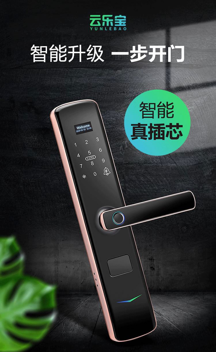 云乐宝智能锁 X3家用防盗门密码锁远程密码