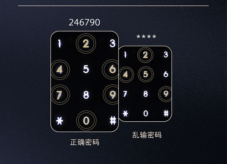 西门子智能锁 C620家用防盗门锁智能电子锁