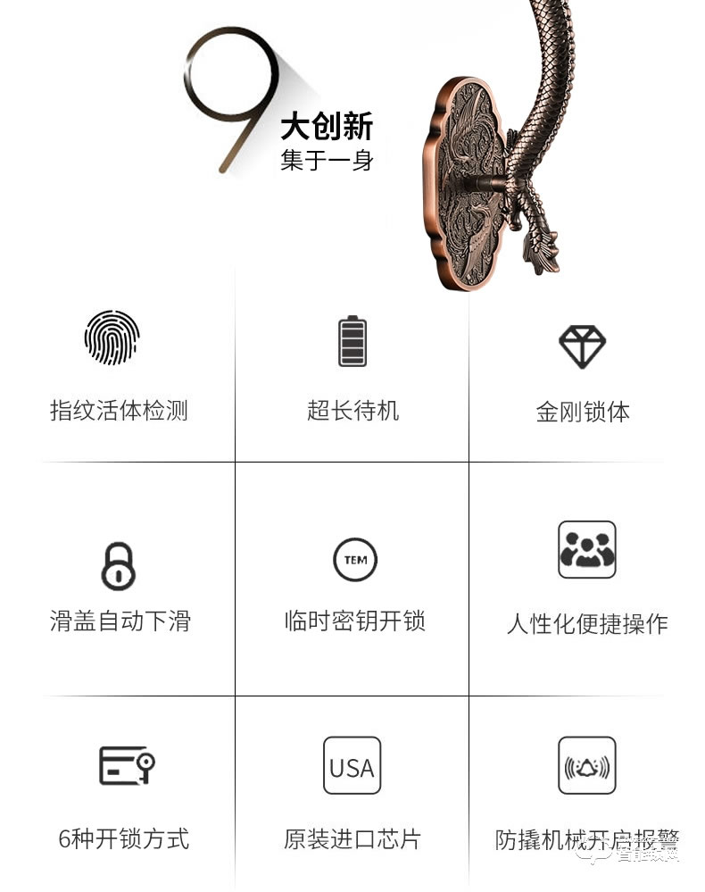 幻侣智能锁 龙头别墅门全自动双开门智能密码锁