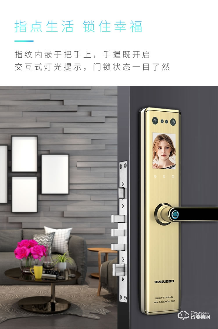 皇家金盾智能锁 R50(凯旋一号)人脸识别家用智能门电子锁