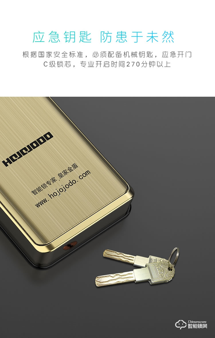 皇家金盾智能锁 R50(凯旋一号)人脸识别家用智能门电子锁