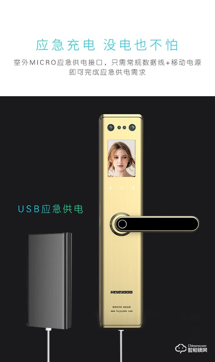 皇家金盾智能锁 R50(凯旋一号)人脸识别家用智能门电子锁