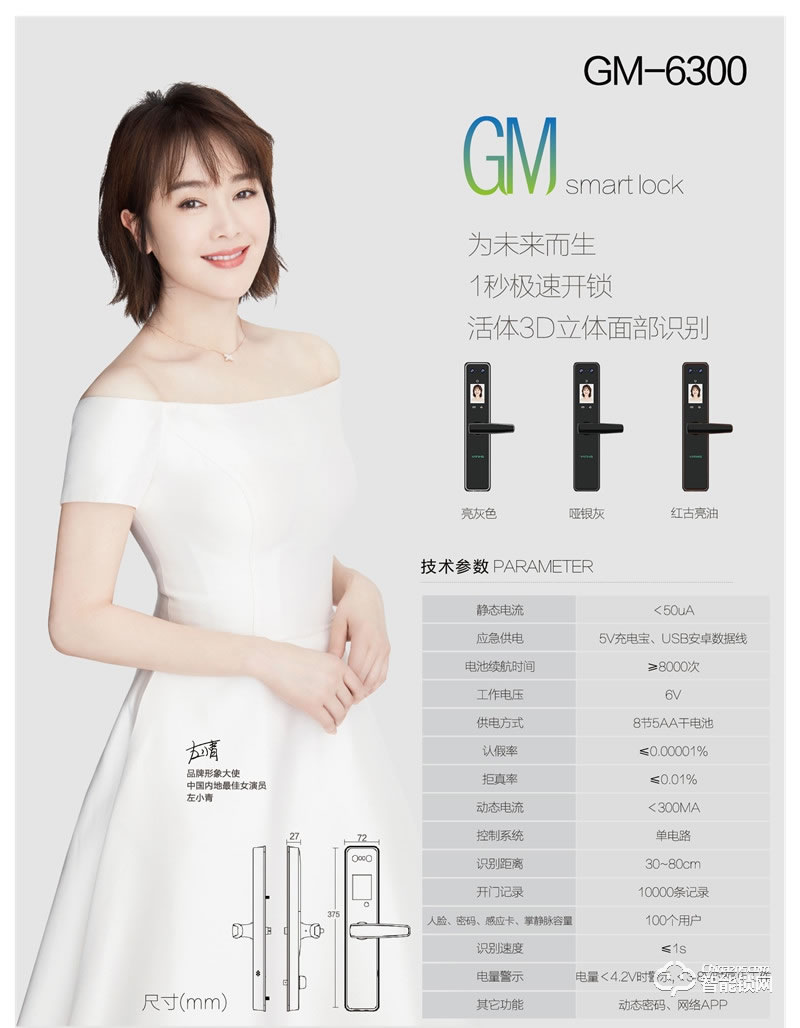 亚蒂仕智能锁 GM6300全自动人脸智能锁