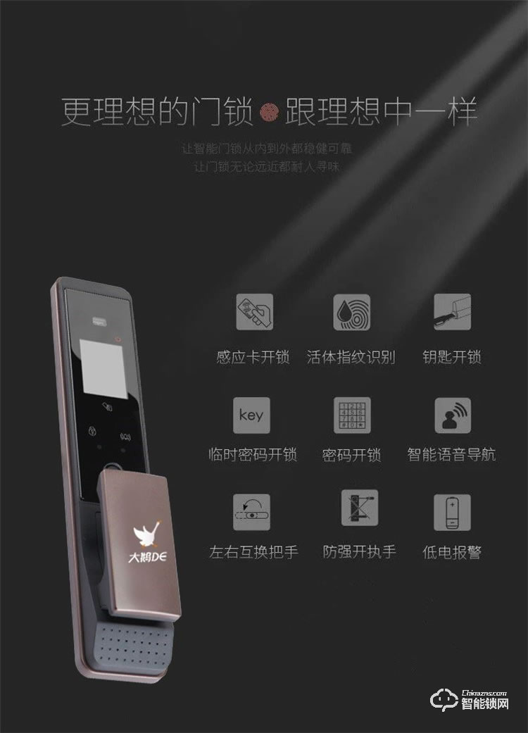 大鹅智能锁  全自动人脸识别家用智能锁