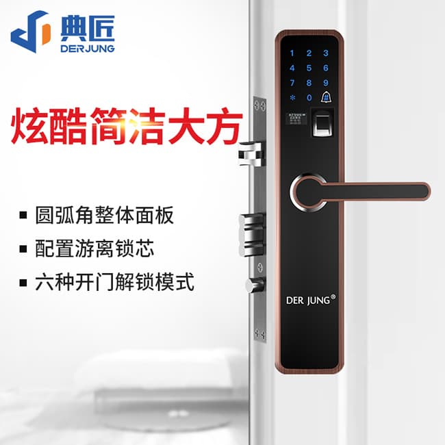 典匠智能锁 D6018家用防盗门智能密码锁
