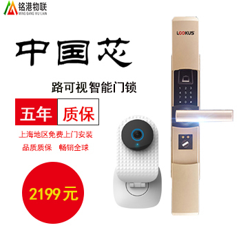 铭港物联智能锁 经济版智能指纹密码门锁套餐