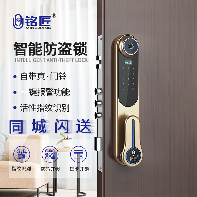 铭匠智能锁 819防盗门锁家用木门锁