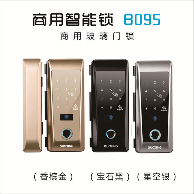 国青智能锁 B095商用玻璃门智能锁